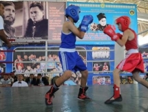 Международный турнир памяти Бауыржана Момышулы проходит в Таразе