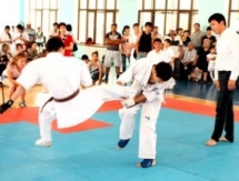 Впервые в Казахстане пройдет чемпионат Азии по каратэ-до