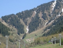 «Барыс» определился с планом предсезонной подготовки