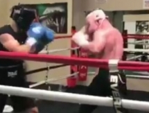 Соперник Головкина Альварес провел спарринг в день рождения