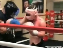 Альварес «уничтожает» спарринг-партнеров перед боем с Головкиным