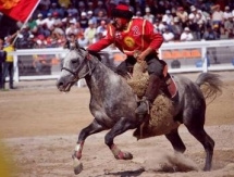 Кыргызстан не получил муляж туши козла для опробования на чемпионате мира по кокпару в Астане