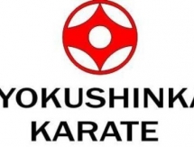 Казахстанские каратисты завоевали три медали на чемпионате Европы