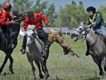 Сборная Азербайджана получила техническое поражение на чемпионате мира по кокпару в Астане