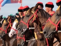 Американцы забили гол в свои ворота на чемпионате мира по кокпару в Астане