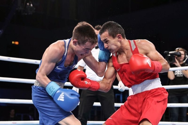 Boxing 2017. Для бокса на стену.