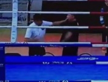 Видео драки между рефери и тренером по боксу набирает просмотры в Сети