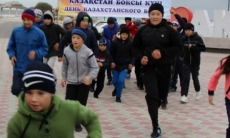 День казахстанского бокса отметили в регионах