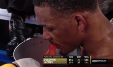 Леффлер поздравил Джейкобса с победой, но напомнил о его крови в бою с Головкиным