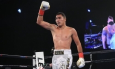 Эксперт оценил перспективы Нурсултанова на профи-ринге