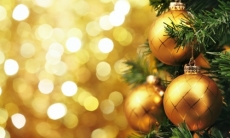 Федерация бокса поздравила казахстанцев с Новым годом