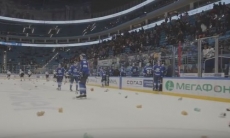 Как проходил «мишкопад» после матча КХЛ «Барыс» — «Сочи»