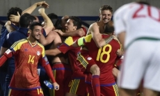 Пиренейцы бывают разные...