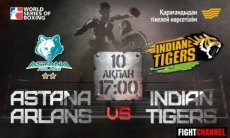 Казахстанский телеканал покажет матч Всемирной серии бокса «Астана Арланс» — «Indian Tigers»