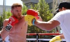 «На 100% сосредоточен». Как Альварес отрабатывает удар к рематчу с Головкиным