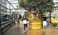 Как «Astana Arlans» готовится к матчу WSB с «China Dragons»