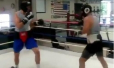 Видео спарринга Ивана Дычко