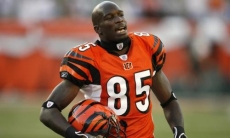 «Я должен заменить „Канело“ 5 мая». Ветеран американского футбола троллит Головкина