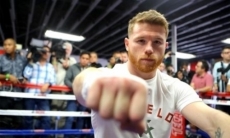 WBC требует от «Канело» вступить в программу за чистый бокс за допинг перед боем с Головкиным
