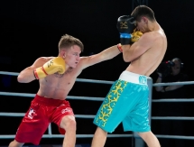 Фоторепортаж с матча полуфинала WSB «British Lionhearts» — «Astana Arlans» 2:3