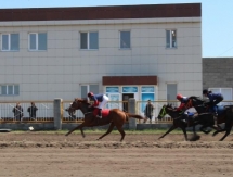 Летний скаковой сезон открыли в Северном Казахстане