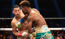 «Чарло — крепкий засранец, но Головкин на другом уровне». Экс-боец UFC о претенденте GGG