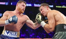 Подсчитана общая сумма убытков от отмены рематча Головкина и «Канело»