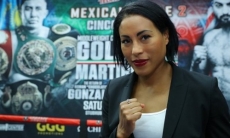 Стали известны гонорары участников вечера бокса Головкин — Мартиросян