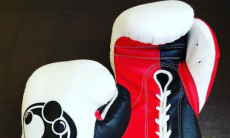 В каких перчатках Головкин будет бить Мартиросяна