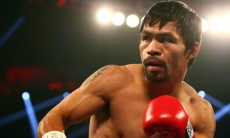 «„Канело“ — боксер с другой планеты». Пакьяо испугался соперника Головкина