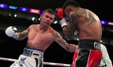 «Он бы не выжил». Зарубежные болельщики оценили шансы чемпиона WBC Silver в возможном бою с Головкиным