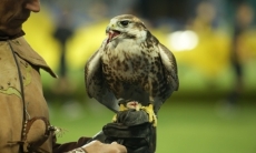 Фоторепортаж с матча Премьер-Лиги «Кайрат» — «Астана» 1:2