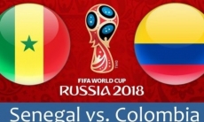 Прямую трансляцию матча ЧМ-2018 Сенегал — Колумбия покажет «Qazsport»