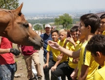 Воспитанники «Кайрата» познакомились с лошадьми