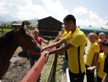 Воспитанники «Кайрата» познакомились с лошадьми