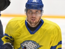 Фоторепортаж с тренировки «Барыса»