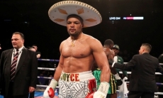 Тренер Головкина начал работу с непобежденным нокаутером