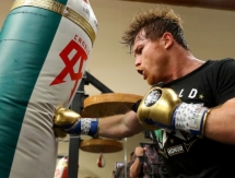 Стали известны подробности тренировок и диеты Альвареса перед боем с Головкиным