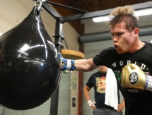 Стали известны подробности тренировок и диеты Альвареса перед боем с Головкиным