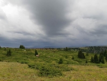 Министр Мухамедиулы и известные казахстанцы участвовали в конном пробеге в Алматинской области