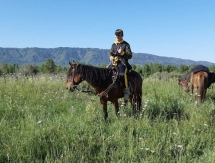 Министр Мухамедиулы и известные казахстанцы участвовали в конном пробеге в Алматинской области