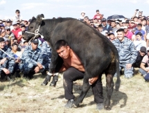 Соревнования по национальным видам спорта прошли в Карагандинской области в честь 350-летия Бухар жырау