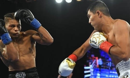 Онлайн-трансляция боев казахстанцев Ашкеева и Нурсултанова в андекарде Ковалев — Альварес