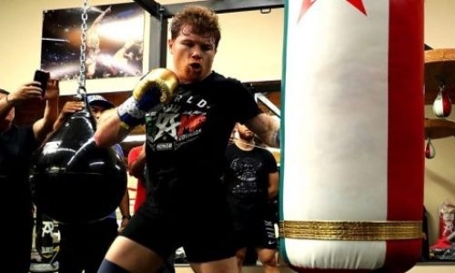 У «Канело» заметили очередную уязвимость перед боем с Головкиным