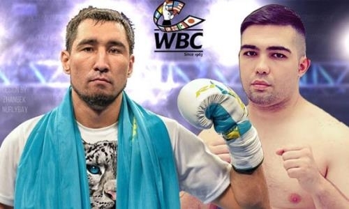 Казахстанский нокаутер анонсировал свой следующий бой за титул WBC