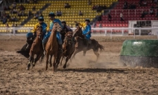 Участвующий во Всемирных играх кочевников кокпаристов из Казахстана обвинили в трусости