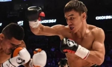 Казахстанского нокаутера лишили титульного боя