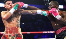 Видео фантастического нокаута, или Как Кроуфорд «удосрочил» Бенавидеса в весе Елеусинова