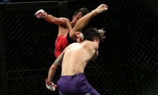 Национальная федерация ММА Казахстана признана на международном уровне