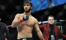 Появились новости о наказании для обидчика Хамитова Тухугова за драку после боя Нурмагомедов — Макгрегор